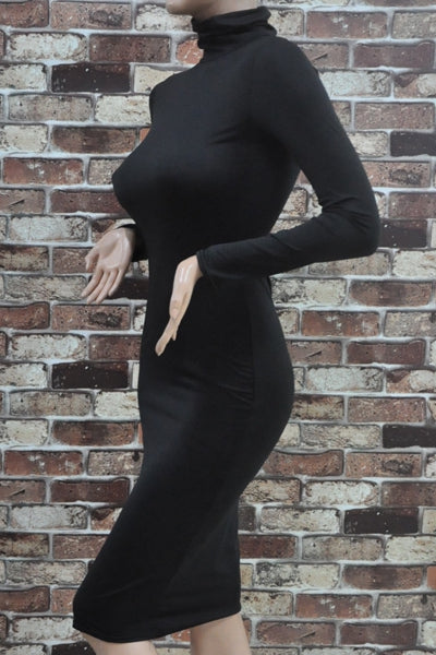 Simple Turtle Neck Long Sleeve Solid Color Slimming Women's Dress