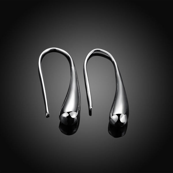 Water Drop Ear Hook in The Shape of Silver Earrings