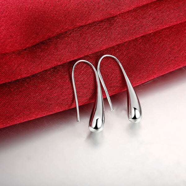Water Drop Ear Hook in The Shape of Silver Earrings