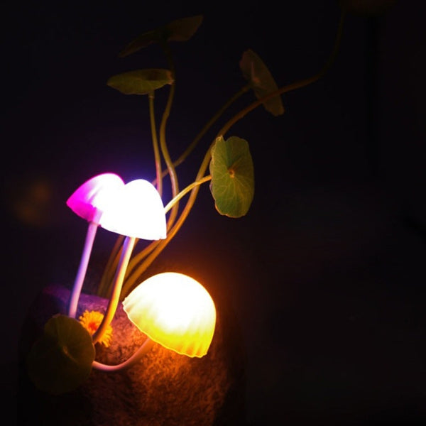 Creative Colorful Mushroom Room Decor LED Night Light