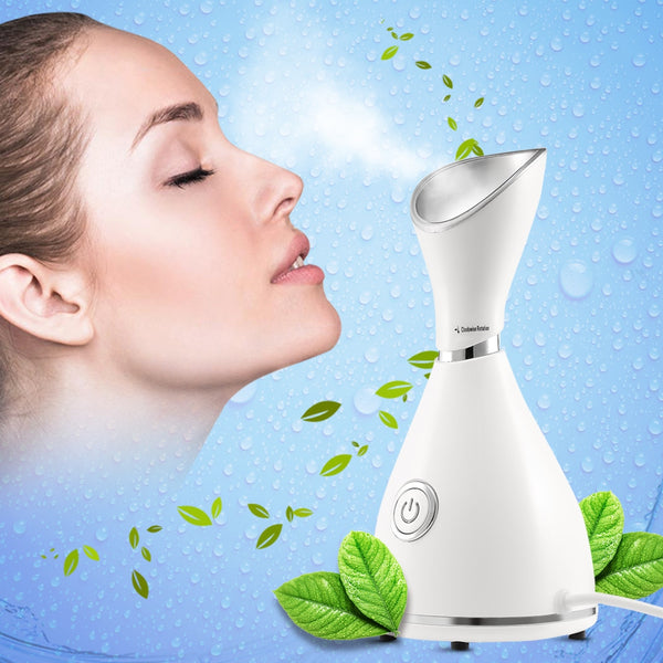 Nano Ionic Facial Steamer Face Sprayer Beauty Instrument