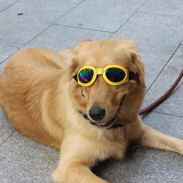 Pet Glasses Dog Protective Big Sunglasses
