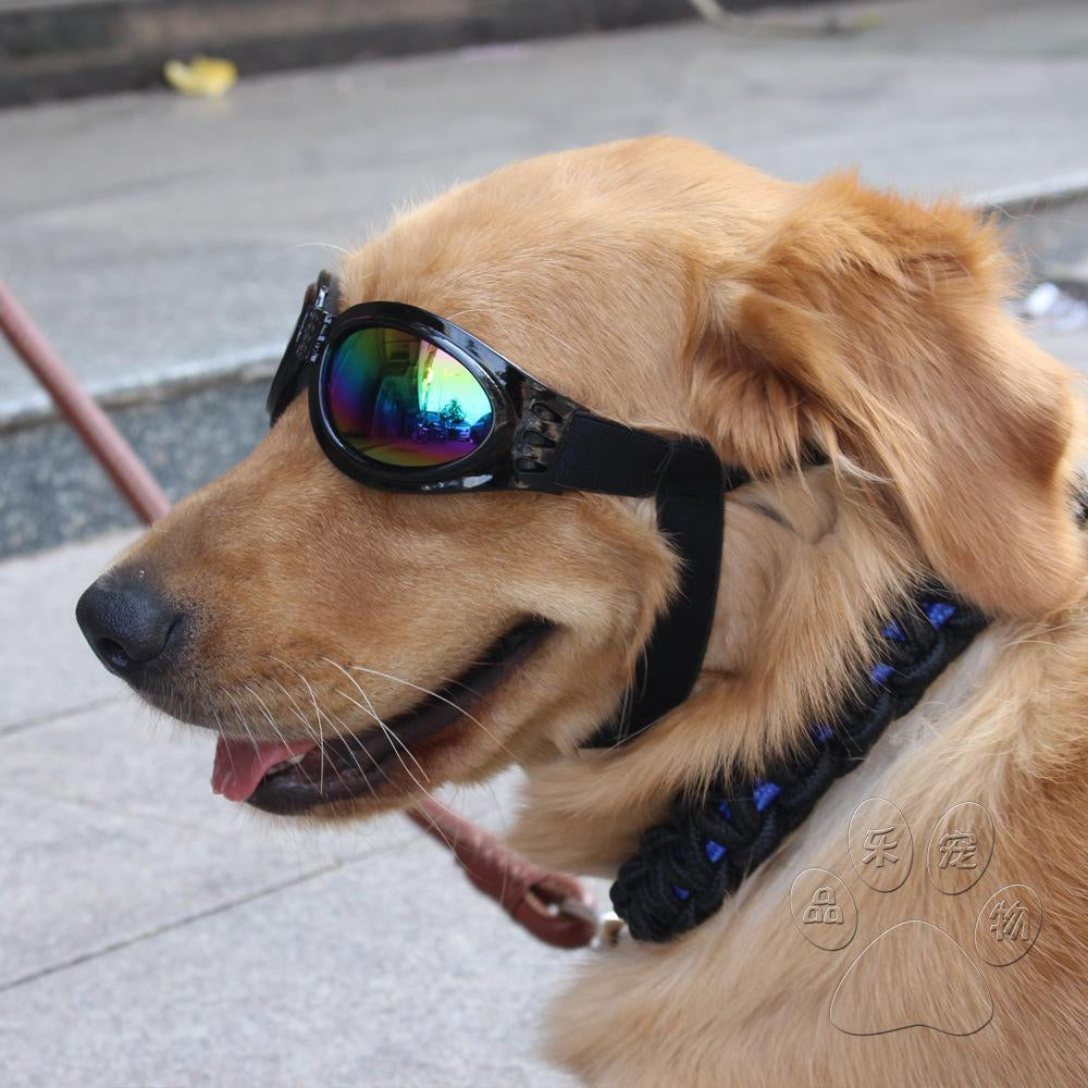 Pet Glasses Dog Protective Big Sunglasses