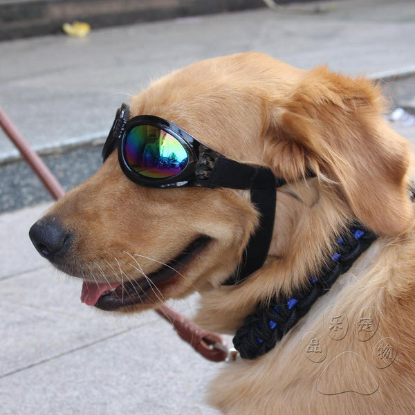 Pet Glasses Dog Protective Big Sunglasses